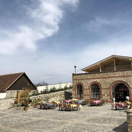 Conacul Maria Theresa Orlat Εξωτερικό φωτογραφία