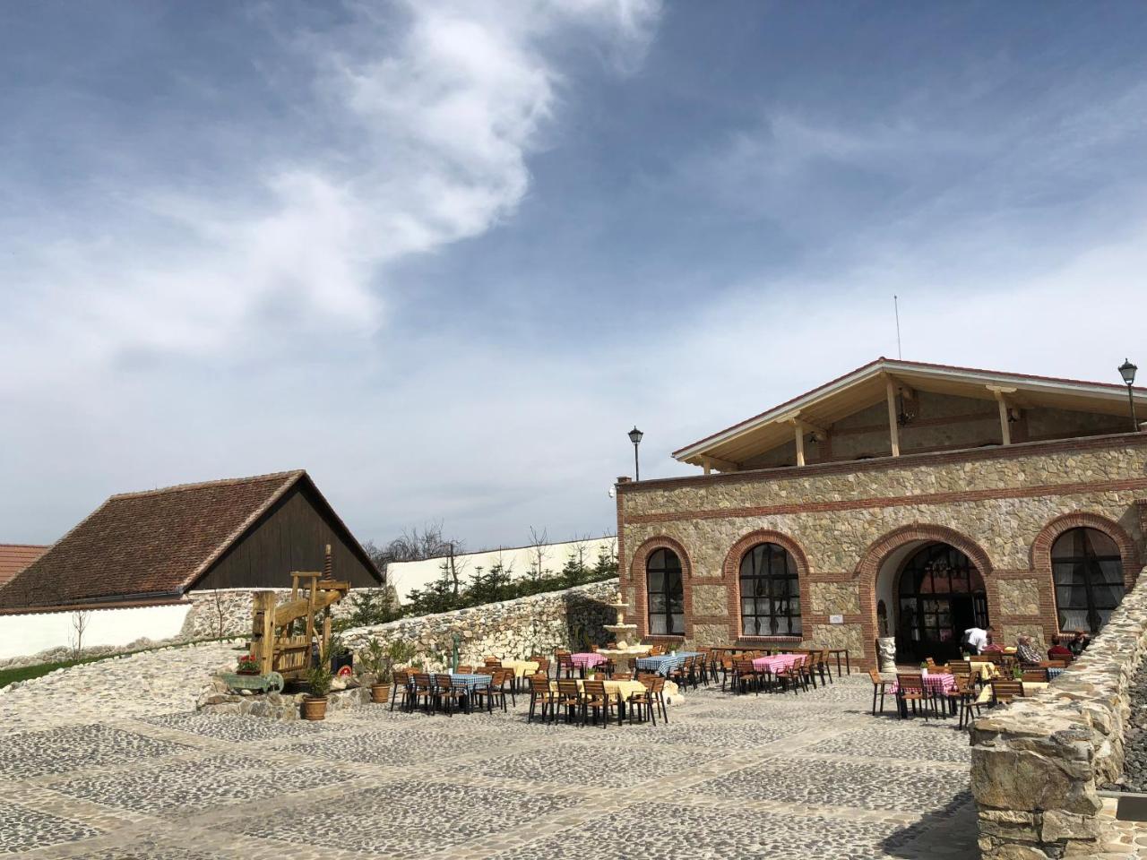 Conacul Maria Theresa Orlat Εξωτερικό φωτογραφία